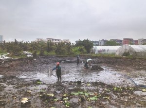 吴堡河道鱼塘清淤